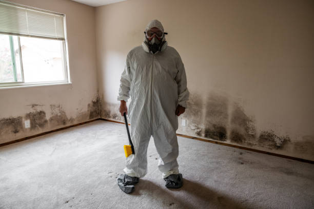 Mold Testing and Removal in Biglerville, PA
